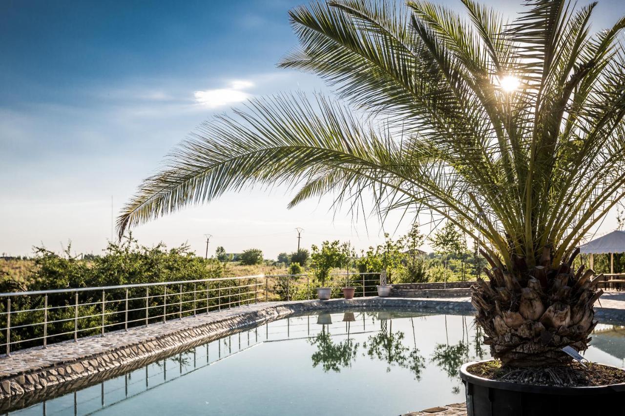 Country Spa Retreat スナゴヴ エクステリア 写真 The pool at the hotel