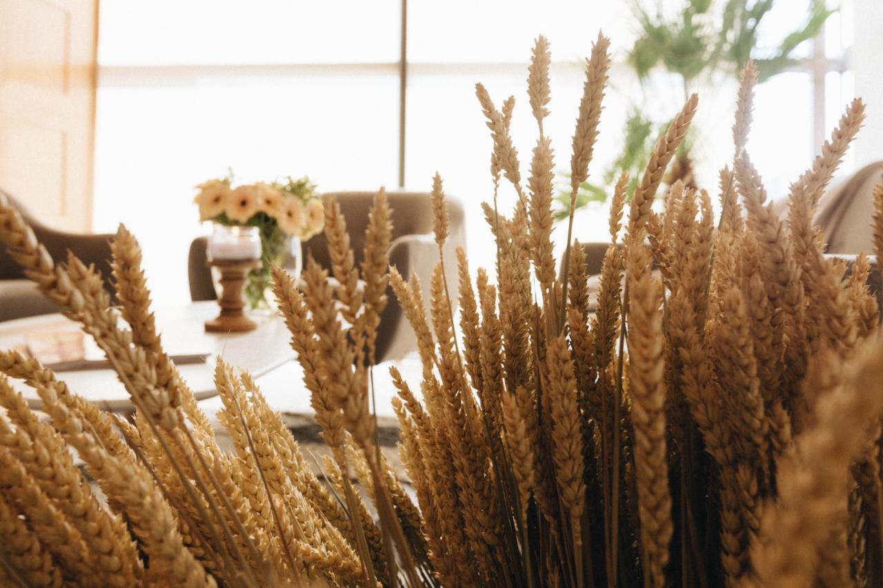 Country Spa Retreat スナゴヴ エクステリア 写真 Wheat